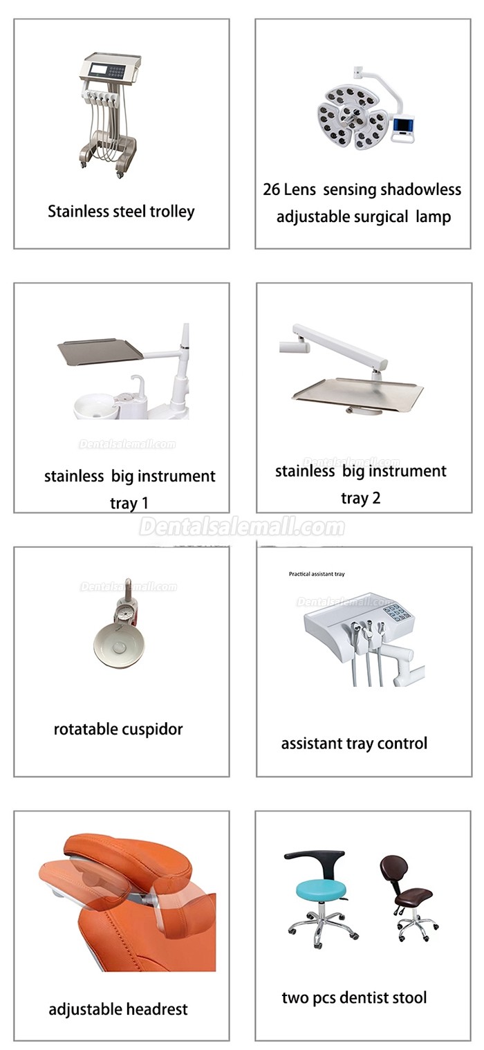 DSM-A3000 Luxury Implant Dental Chair Unit Integrated Dentist Treatment Unit